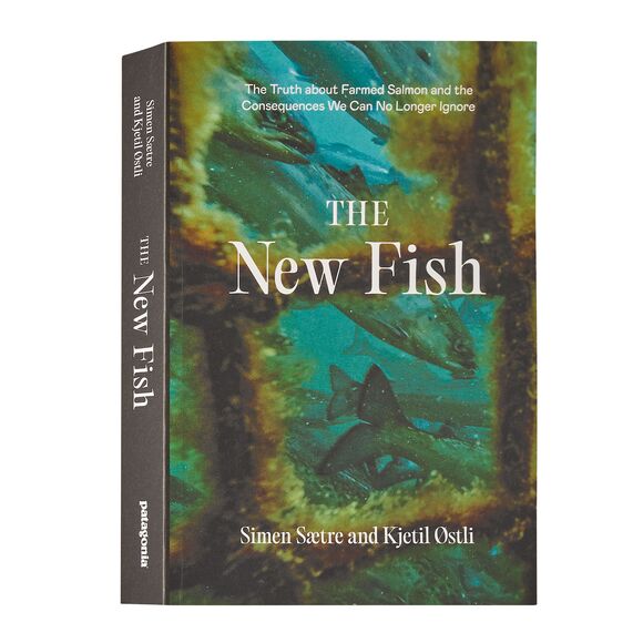 The New Fish (paperback) BK905