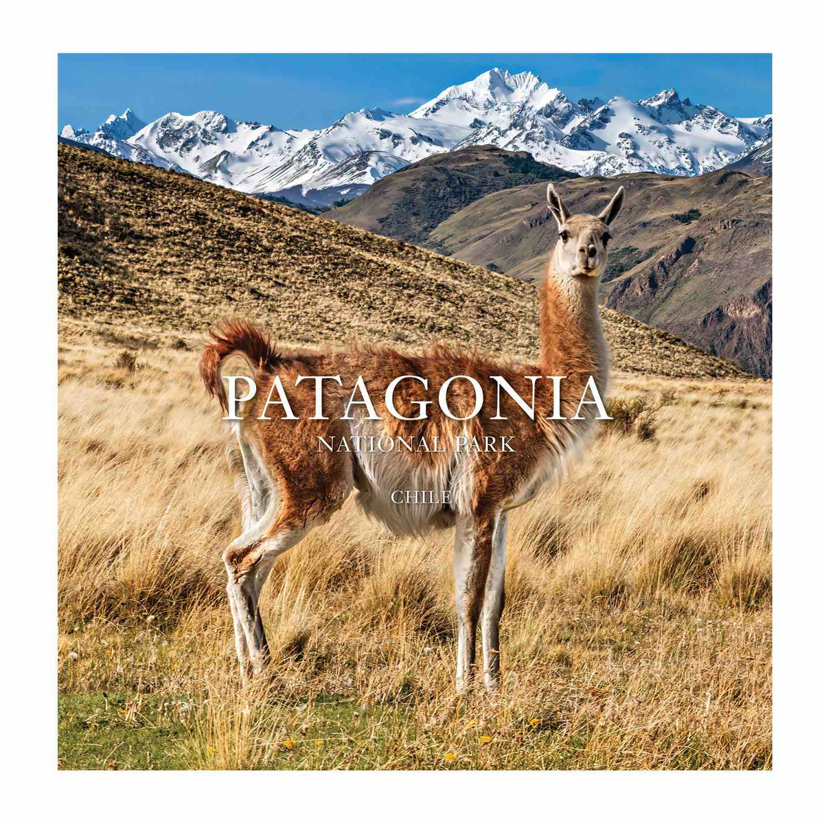 Patagonia National Park: Chile BK250